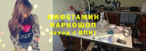 ПСИЛОЦИБИНОВЫЕ ГРИБЫ Михайлов
