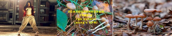 mdma Мегион