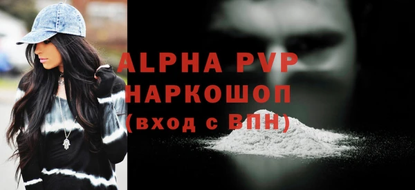 ПСИЛОЦИБИНОВЫЕ ГРИБЫ Михайлов