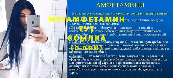 ПСИЛОЦИБИНОВЫЕ ГРИБЫ Михайлов