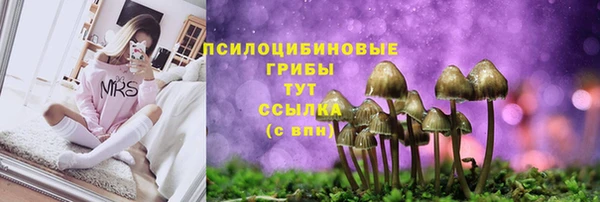 кристаллы Медвежьегорск