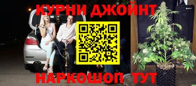 прущие грибы Гусиноозёрск