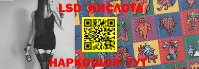 прущие грибы Гусиноозёрск