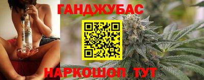 прущие грибы Гусиноозёрск
