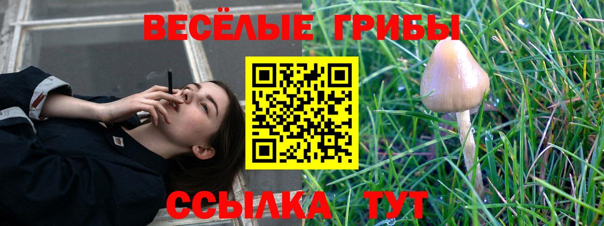 Галлюциногенные грибы GOLDEN TEACHER  Вход с VPN  Псилоцибиновые грибы Psilocybine cubensis  Карталы 